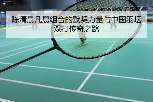陈清晨凡晨组合的默契力量与中国羽坛双打传奇之路