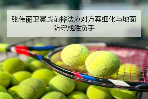 张伟丽卫冕战前摔法应对方案细化与地面防守成胜负手
