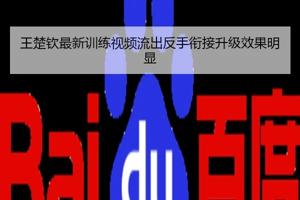 王楚钦最新训练视频流出反手衔接升级效果明显